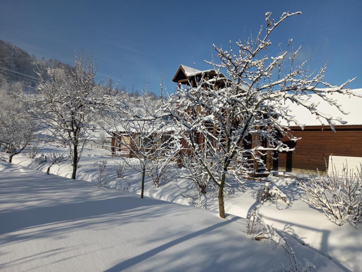 Садиба Райський Куточок Synevyr Esterno foto